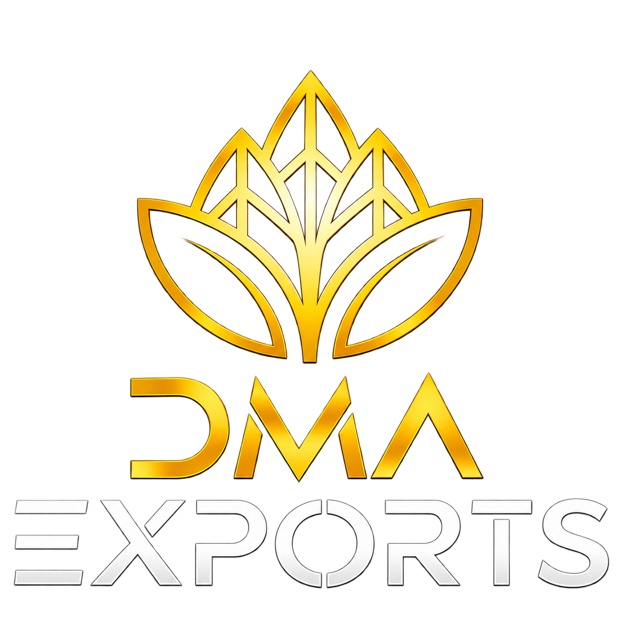 DMA Exports logo